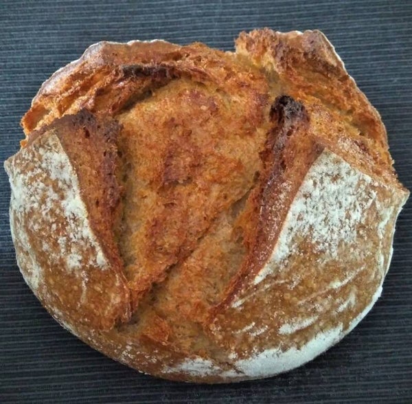 Kilsdonker-bruin
