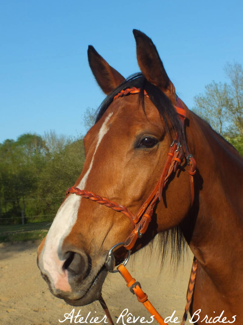 Bridon cuir tressé sur mesure