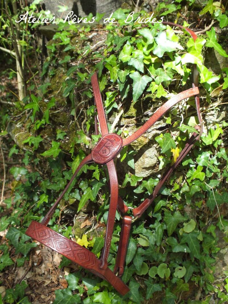 Licol argentin cuir repoussé personnalisé