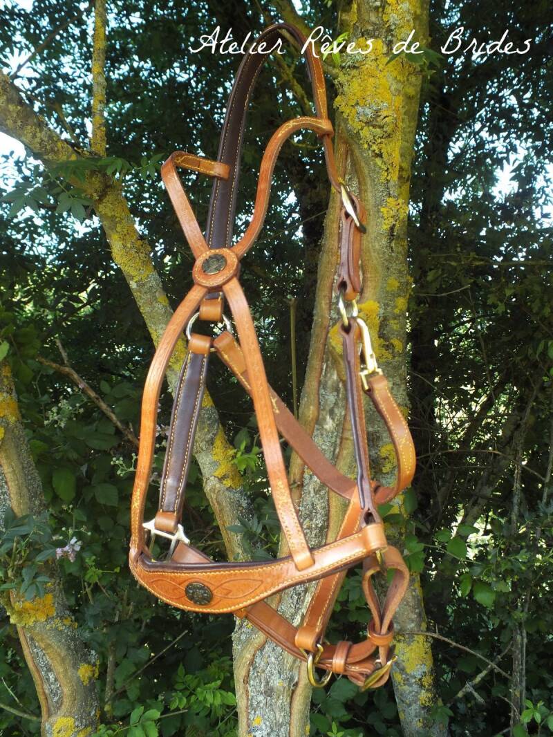 Licol médiéval cuir repoussé personnalisé