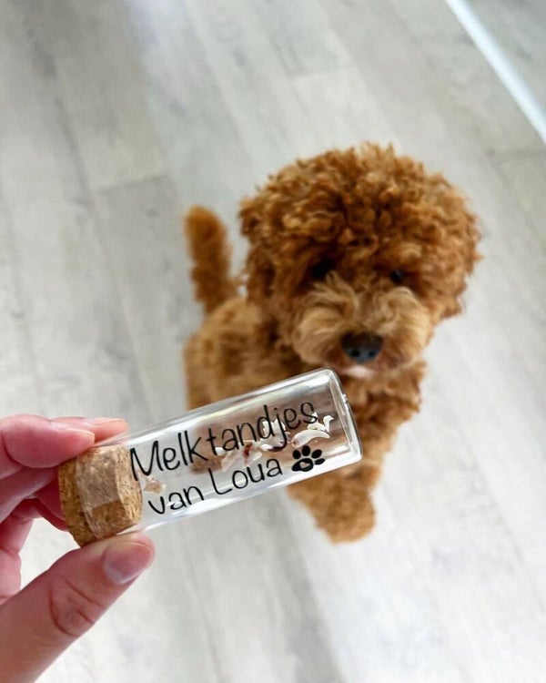 Glazen bewaarpotje - melktandjes pup