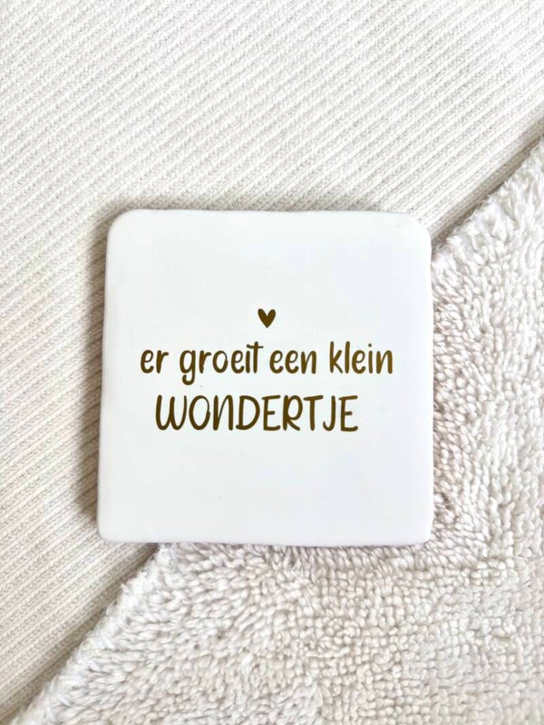 Tegeltje - klein wondertje