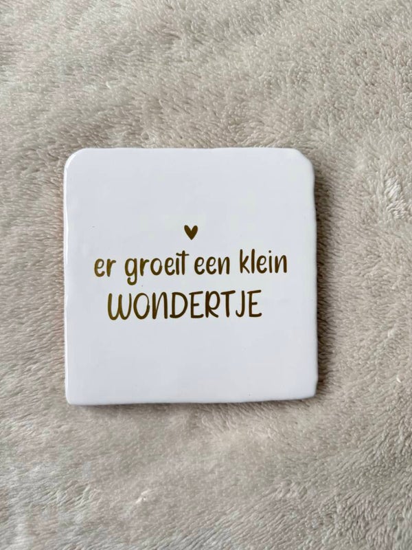 Tegeltje - Er groeit een klein wondertje