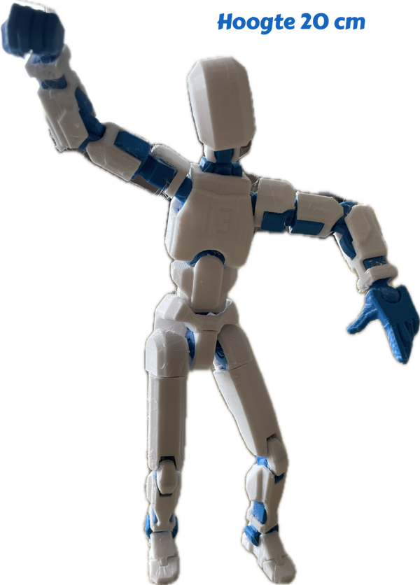 Proto
