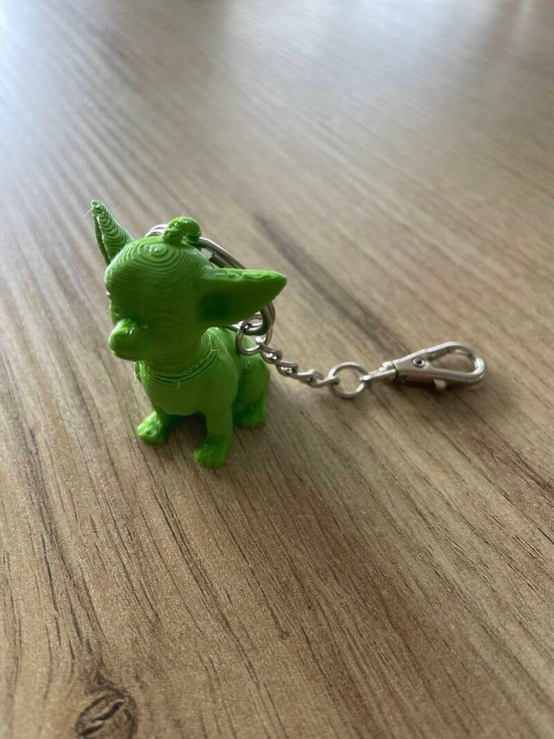 Chihuahua
