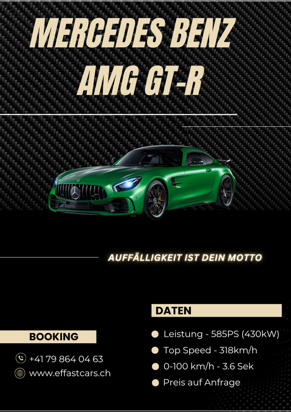 MERCEDES BENZ AMG GT-R