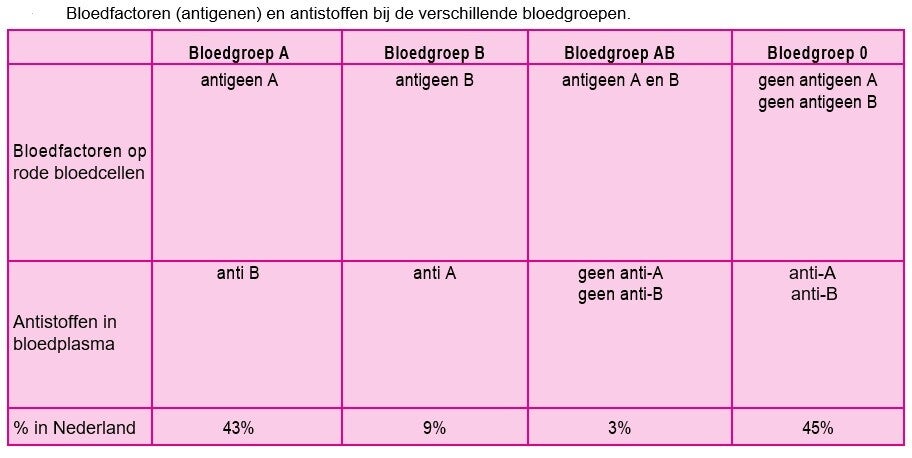Bloedgroepen / Bloed en bloedsomloop / Onderbouw | biologie voor het