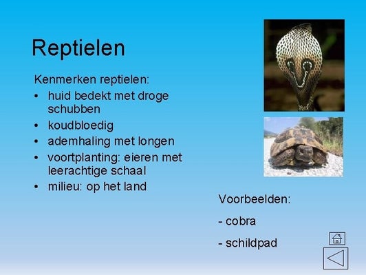 reptielen-gewervelden-eukaryoten-dierenrijk-taxonomie-havo