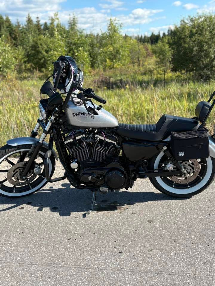 2009 Sportster XL 1200L : Owner Heather