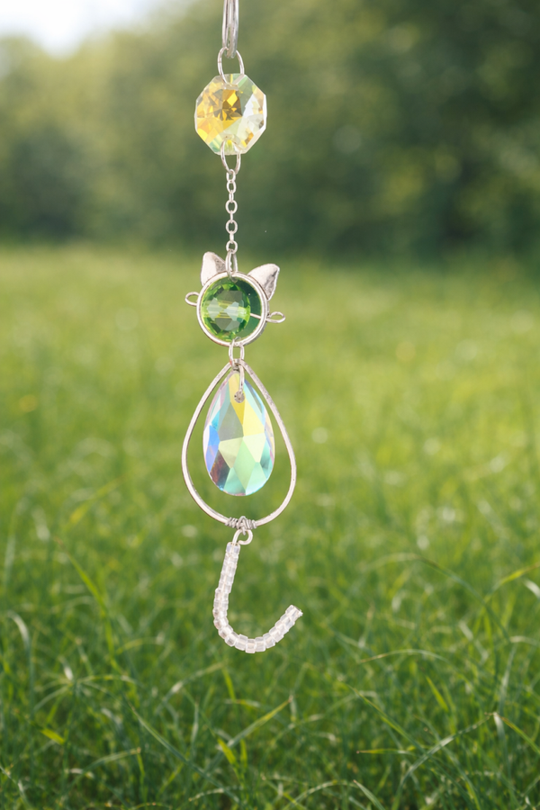 Canne de berger le chat vert