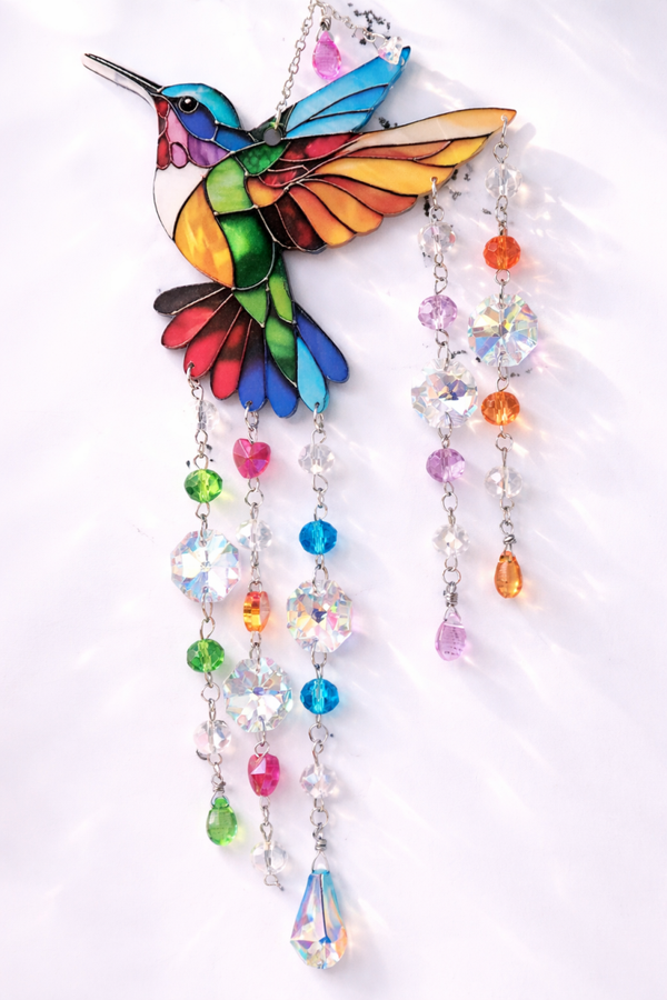 Colibri  arc-en-ciel 2