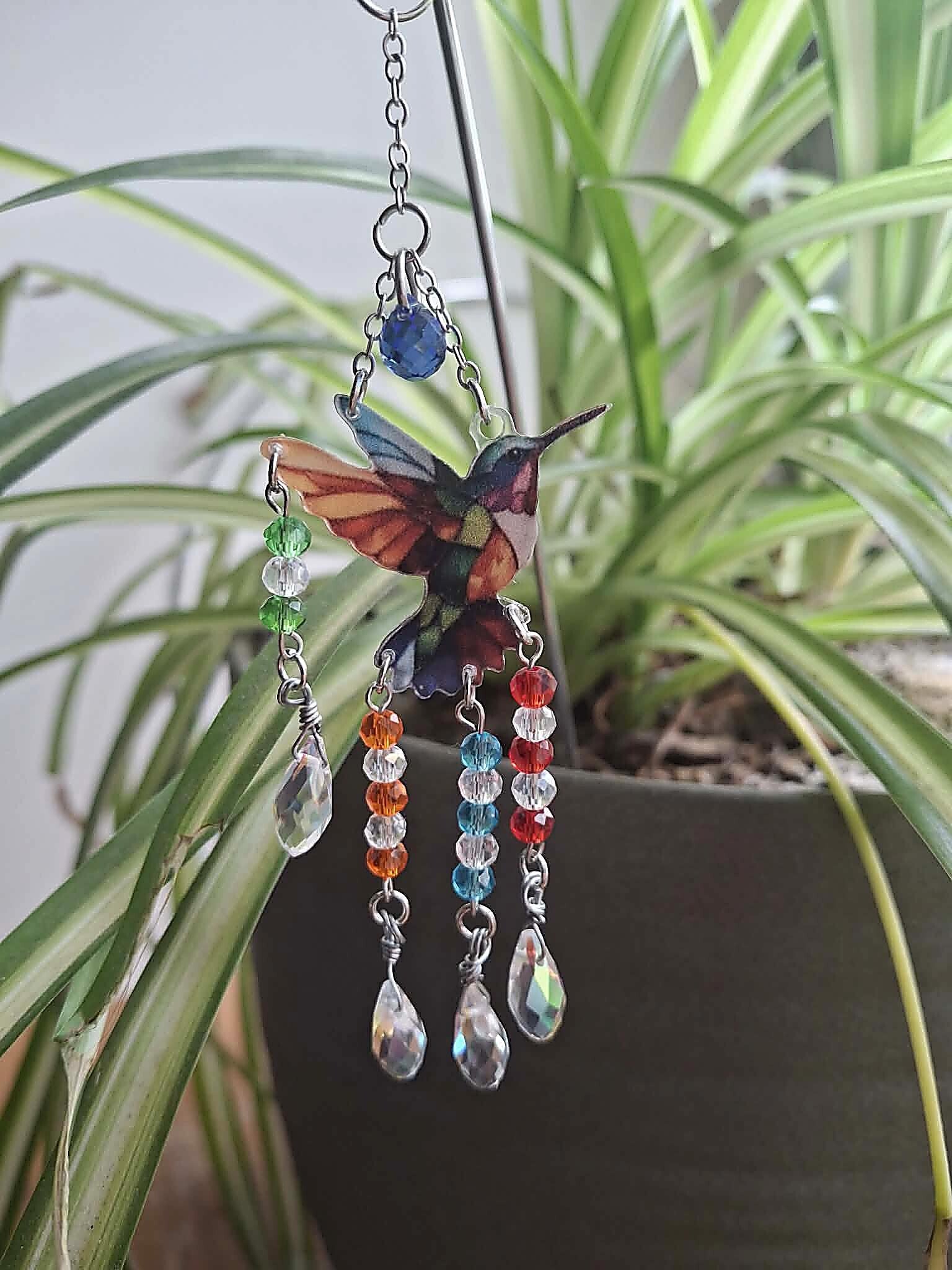 Canne de berger Colibri