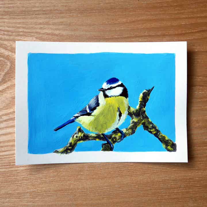 Pimpelmees gouache schildering