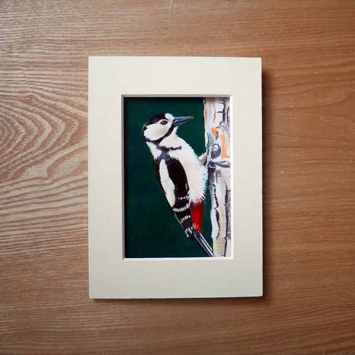 Grote bonte specht gouache schildering