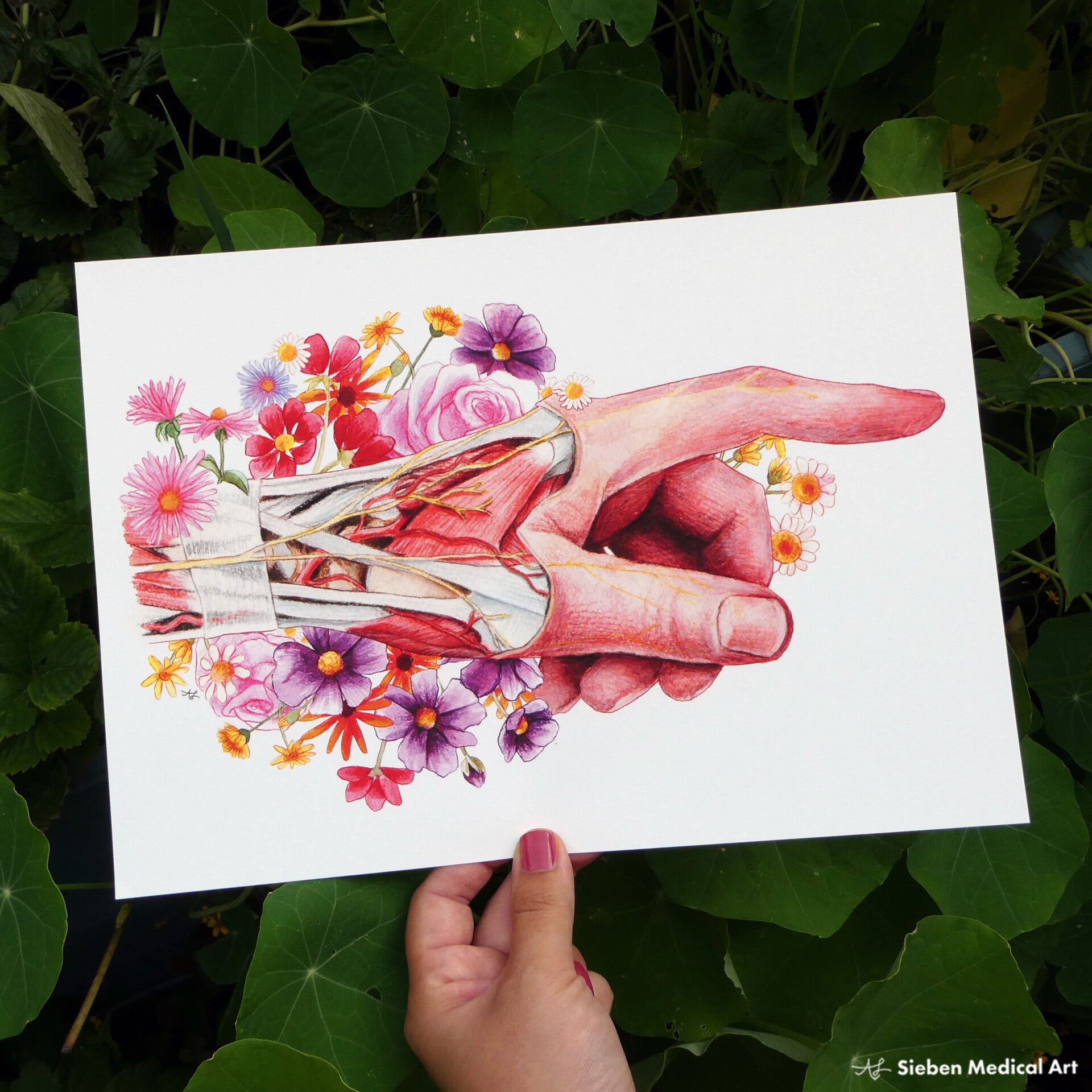 Anatomie van de hand A4 print