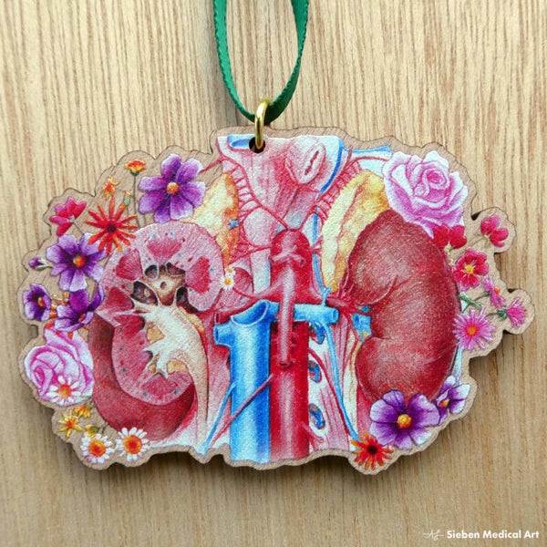 Nieren houten anatomie ornament