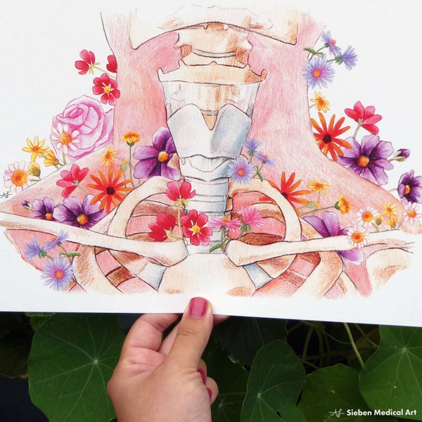 (Kraak)benige structuren van de hals, A4 print