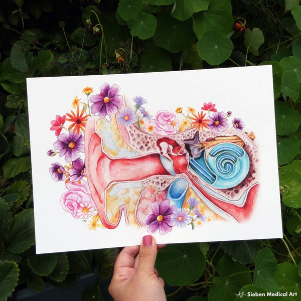 De werking van het oor, A4 print