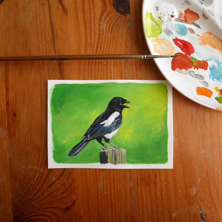 Ekster gouache schildering
