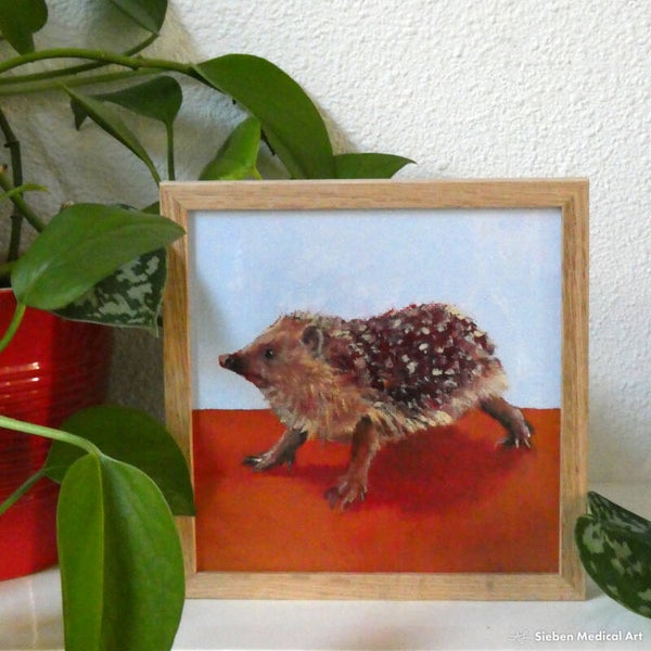 'Egel', olieverf op canvasboard, 15x15 cm