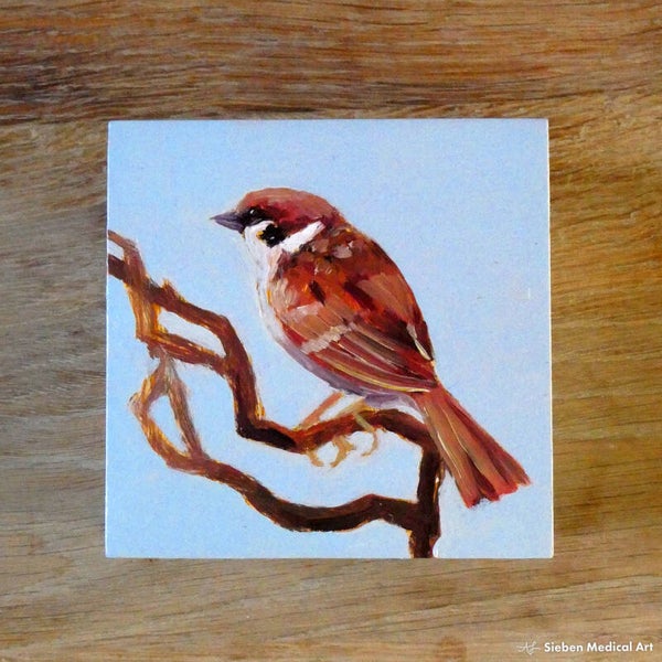 'Huismus (m)', olieverf op MDF board, 10x10 cm