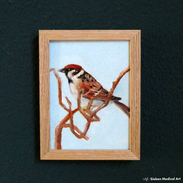 'Huismus (m) III', olieverf op canvasboard, 12x9 cm