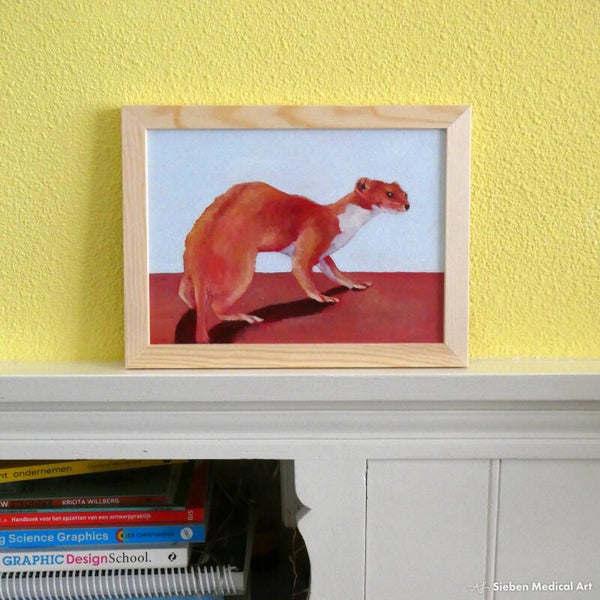 'Wezel', olieverf op MDF board, 24x18 cm