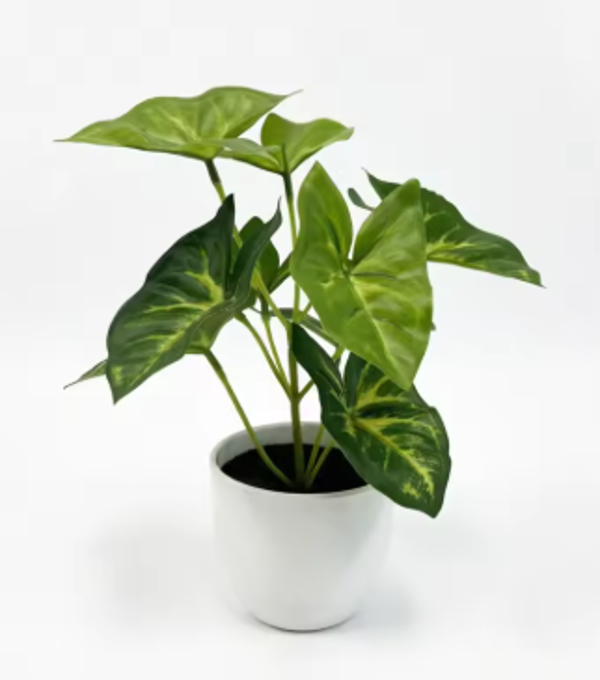Planta artificial pequeña