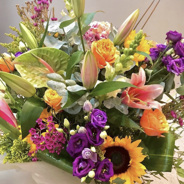 STEVIE