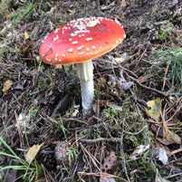 F446CC09-4AE8-434A-BD7A-A5492A7A02D2-1.jpeg