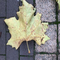 6D615672-31CB-4218-A04D-0C30E032886D.jpeg