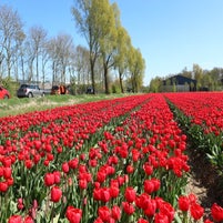 img_6211.jpeg