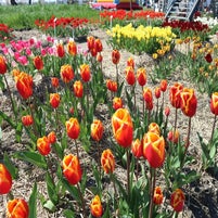 img_6186.jpeg