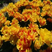 img_6189.jpeg