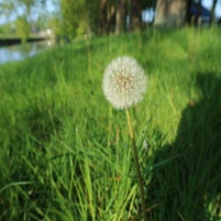 95D797F0-764A-4E9E-ADE1-FF3D2A6C74A2.jpeg
