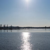 9D052FF8-33B3-4229-B8C4-D6C58229CBA6.jpeg
