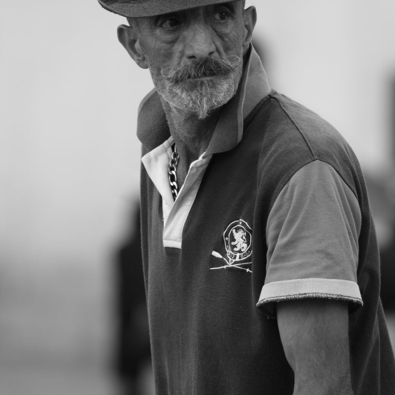 Coach driver in vienna