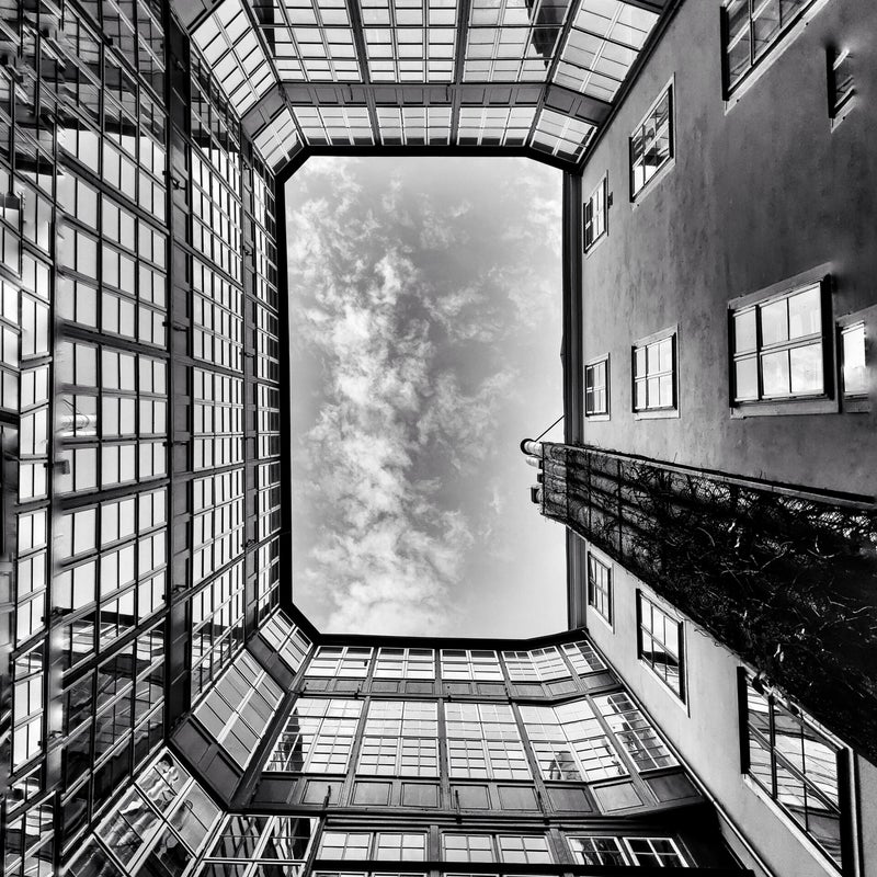 Looking up in Vienna