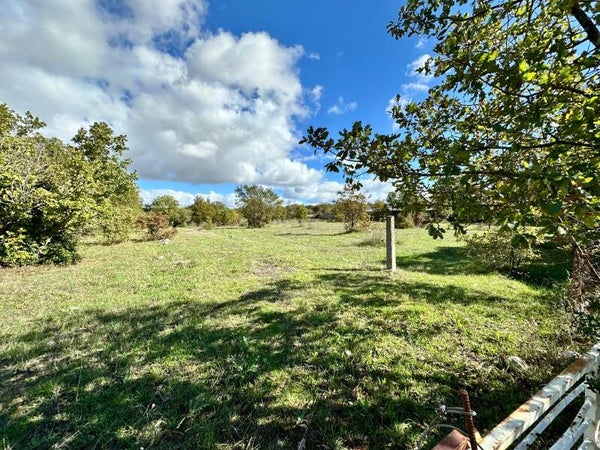 TERRENI AGRICOLI DI CIRCA 23.600 MQ CON TRULLO RURALE - Contrada Boara - Mottola  (TA)