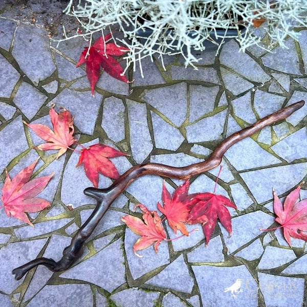 Vogelkers (Prunus)