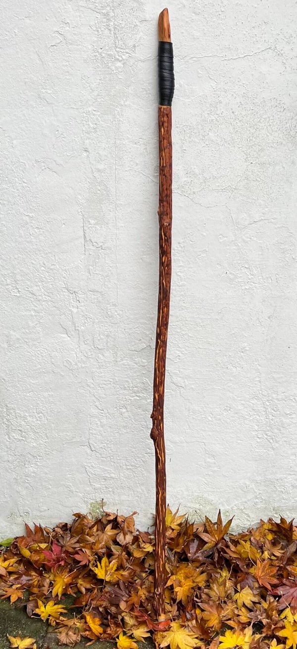Walking stick met handvat