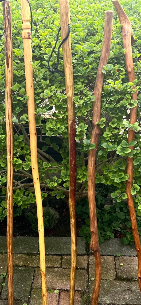 Diverse sticks