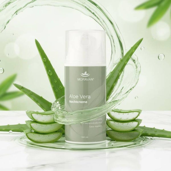 Aloe Vera Nachtcreme