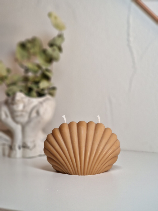 Bougie Coquillage