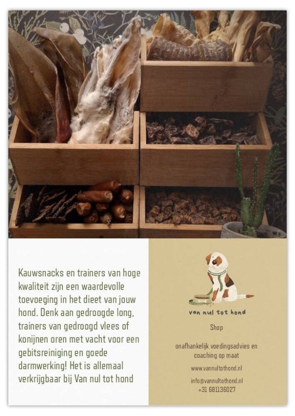 Flyer Snacks Van nul tot hond