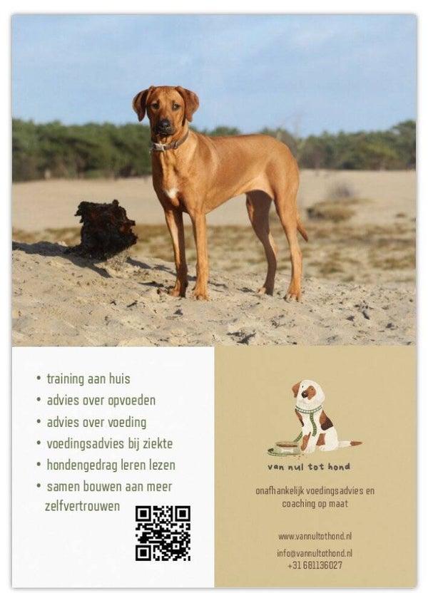 Flyer praktijk Van nul tot hond