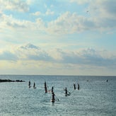 dsc_2151-standard.jpg