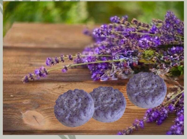 Acondicionador sólido hidratante y reparador de lavanda 🪻
