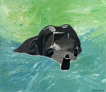 Baby elefant