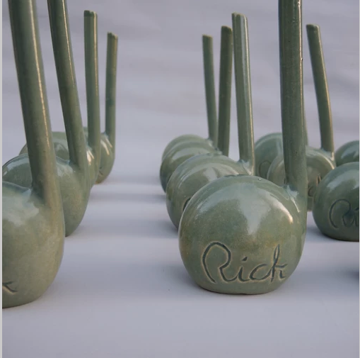 Cum laude prijs voor muziek leerlingen/ Price for music students